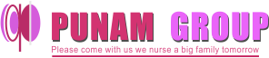 Punam Group Logo